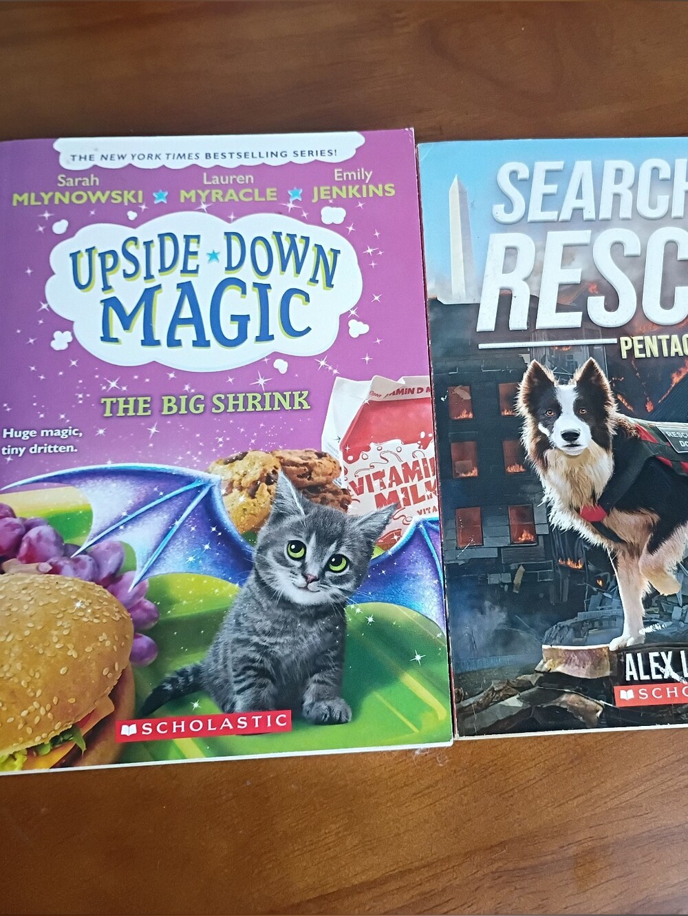 Scholastic Upside-Down Magic The Big Shrink - Purple Green Blue Cover